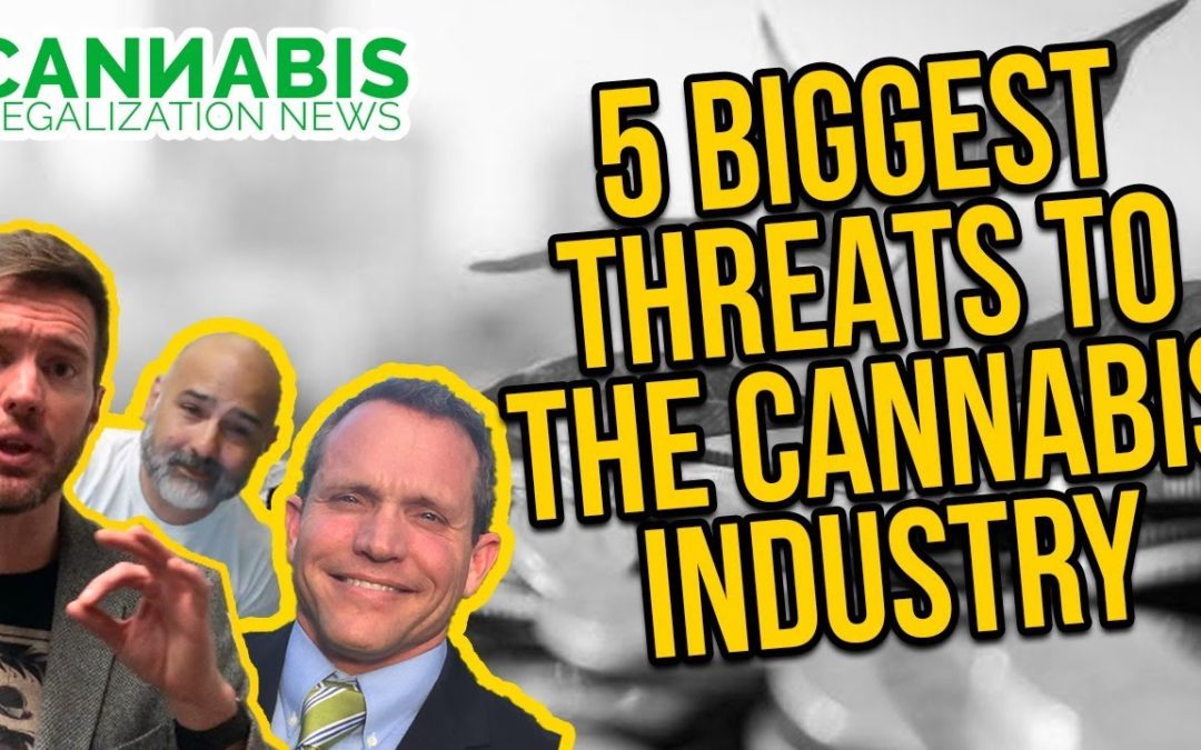 Industry Insights From Michael Patterson