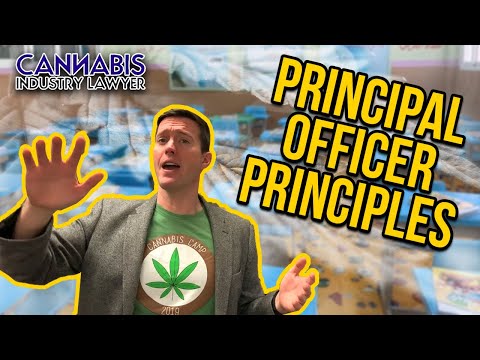 Principal Officers for Cannabis Companies