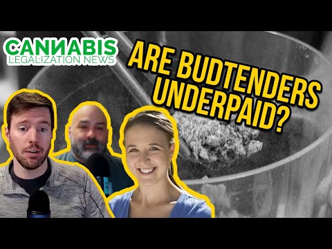 Starting a Cannabis Business | Building Your Team