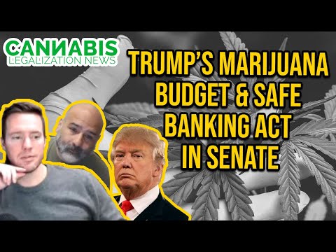 Trump's Marijuana Budget & SAFE Banking Act in Senate