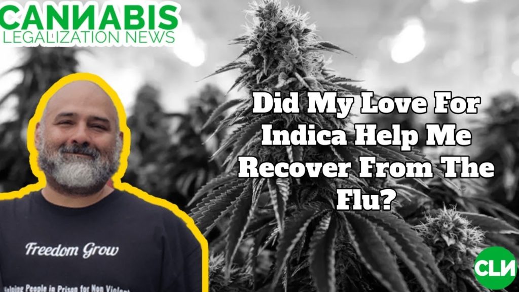 Did My Love For Indica Help Me Recover From The Flu?