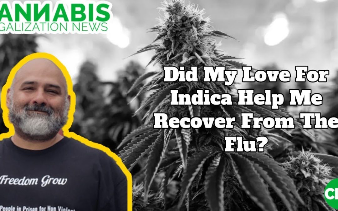Did My Love For Indica Help Me Recover From The Flu?