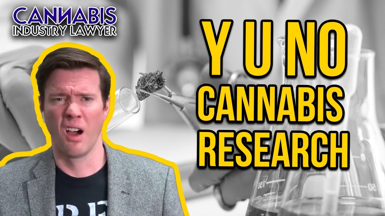 Cannabis Research - Why Marijuana Studies Do Not Get Done