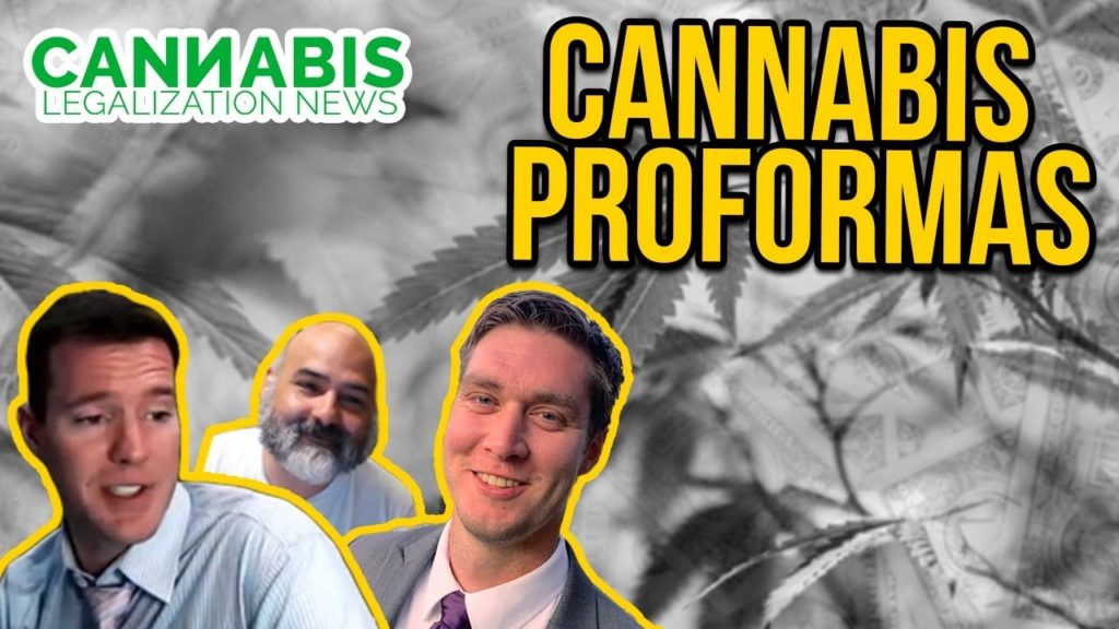 Cannabis Proformas for Dispensaries and Grows | Vigland Advisors