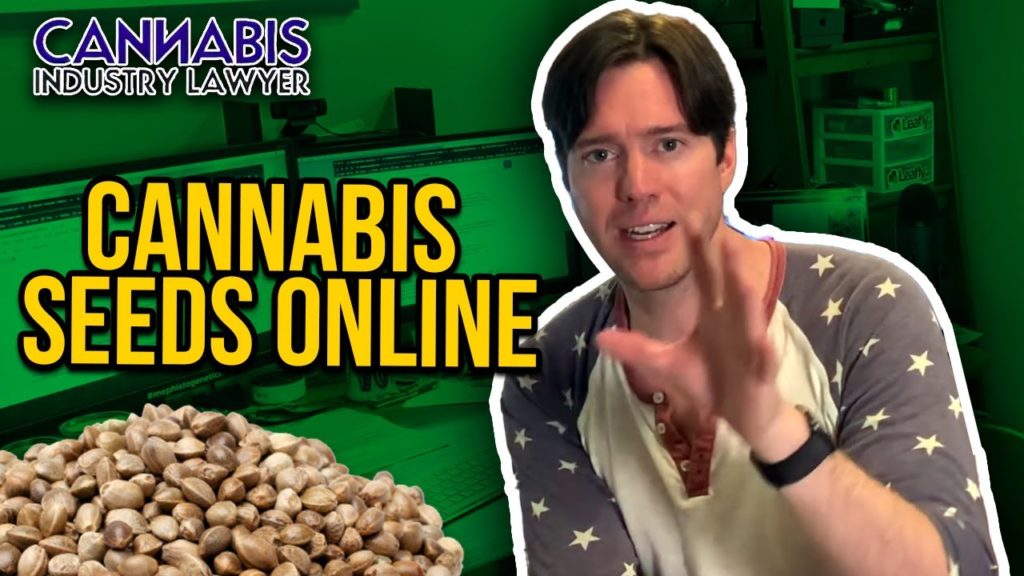 Are Online Cannabis Seeds Legal? Why cannabis seeds are everywhere online.