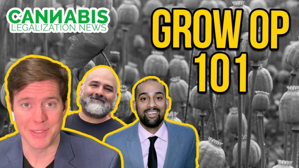 How to Start a Legal Grow Op -Washington Tier 3 Cannabis Grow