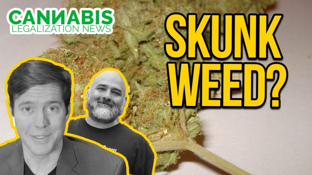 Why Cannabis Smells Like a Skunk