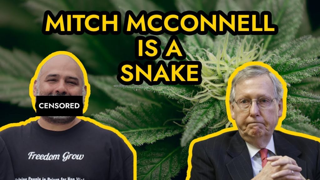 Mitch McConnell is a snake disguised as a turtle