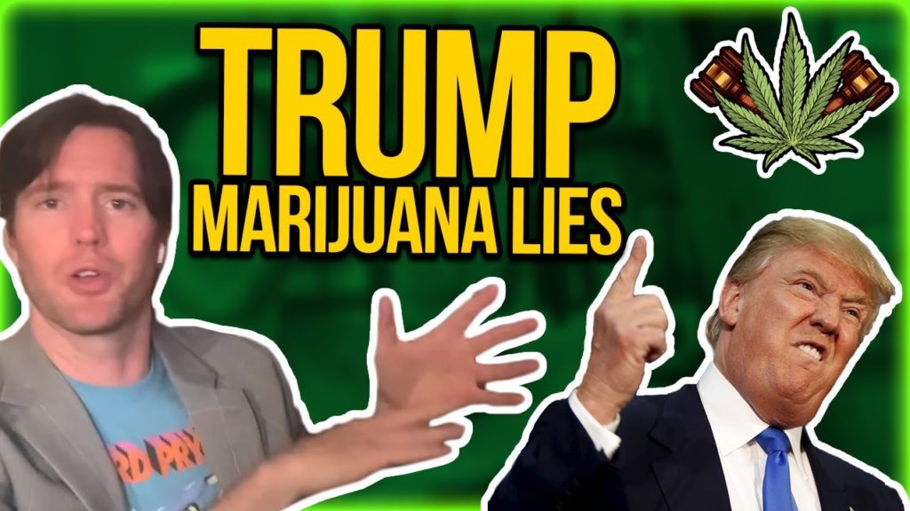 Trump Marijuana Lies & Coronavirus Politics - Dr. Fauci as the new Dr. Woodward