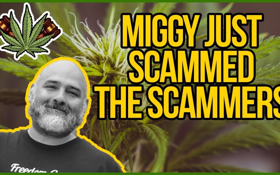 How to Troll Dispensary Scammers