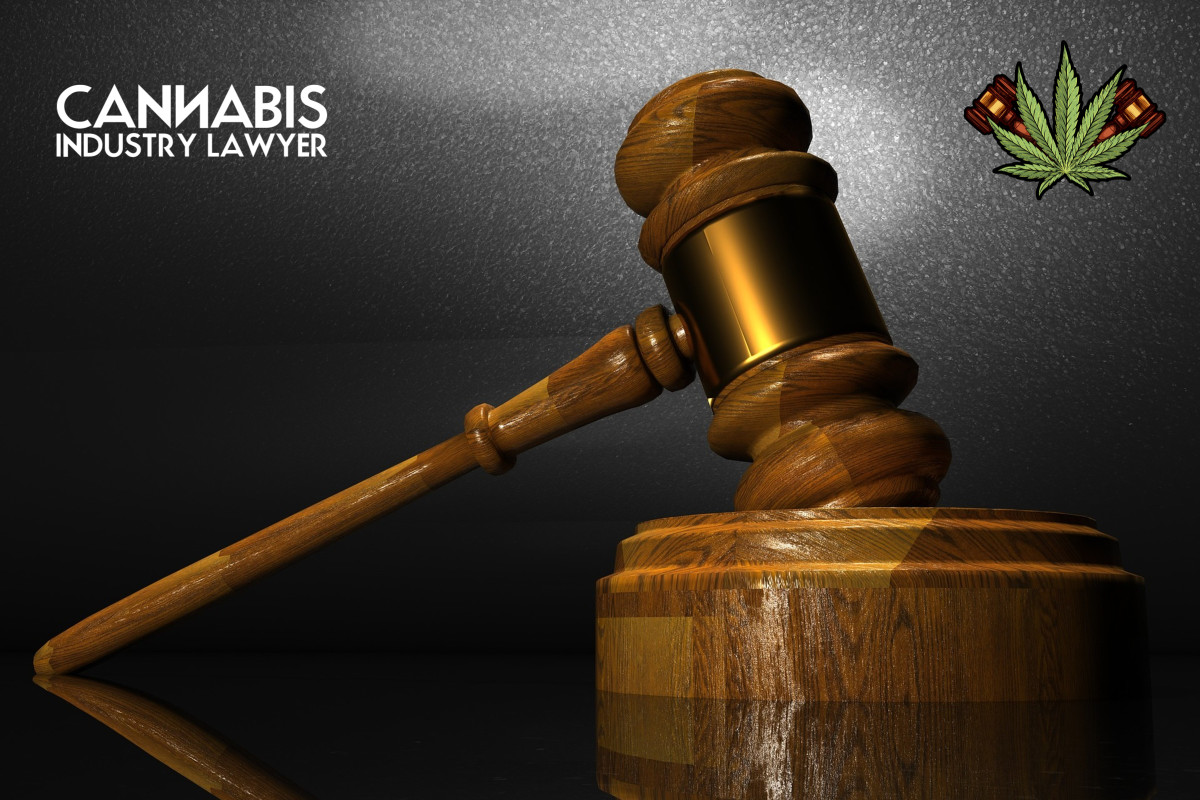 illinois cannabis license delay illinois cannabis license delay