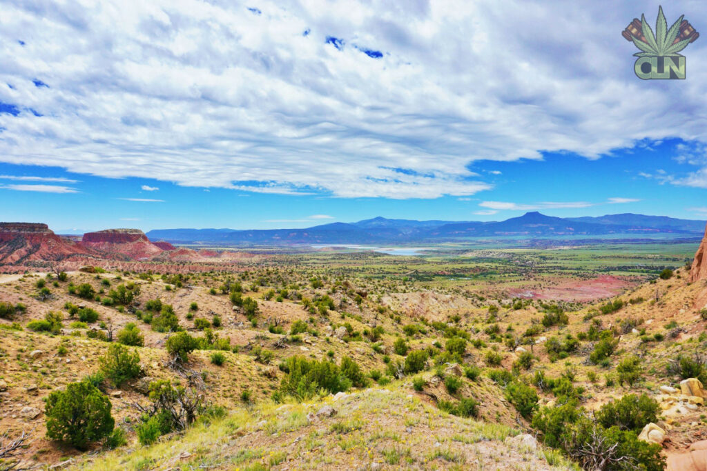 900 New Mexicans are applying to grow cannabis