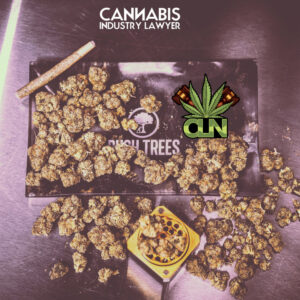 Cannabis Business Intensive