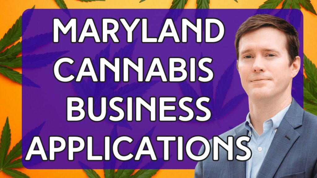 cannabis business license